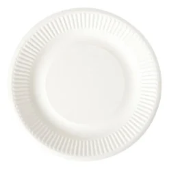 Bagasse bord - wit - ø18.5x2 cm