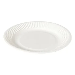 Bagasse bord - wit - ø18.5x2 cm