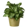 Bloempot mand groot - diverse varianten - ø13.5x11 cm
