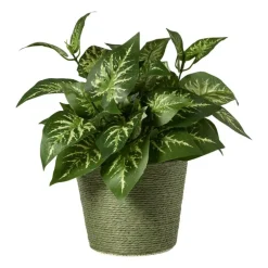 Bloempot mand groot - diverse varianten - ø13.5x11 cm