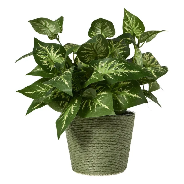Bloempot mand klein - diverse varianten - ø12x9 cm