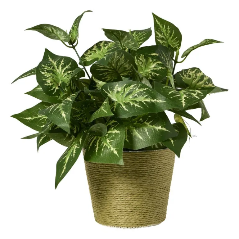 Bloempot mand klein - diverse varianten - ø12x9 cm