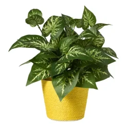 Bloempot mand klein - diverse varianten - ø12x9 cm