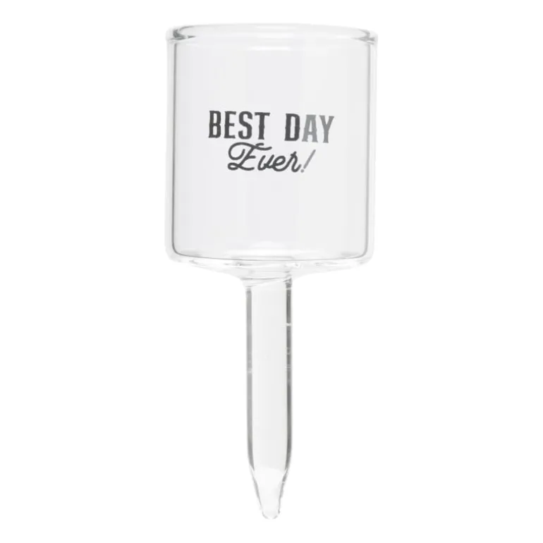 Caketopper shotglazen - set van 4