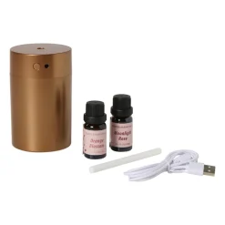 Diffuser giftset met twee vullingen - goudkleurig