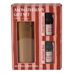 Diffuser giftset met twee vullingen - goudkleurig