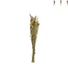 Droogbloem boeketje - diverse varianten - 50 cm