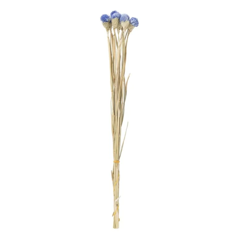 Droogbloemen - diverse varianten - 38 cm