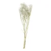 Droogbloem gipskruid - wit - 60 cm