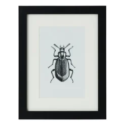 Fotokader met passe-partout - zwart - 10x15 cm