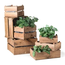 Gatenplant guirlande - 260 cm