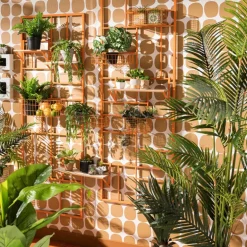 Hangficus in pot aan touw - 55 cm