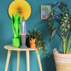 Hangplantje in potje - lang blad