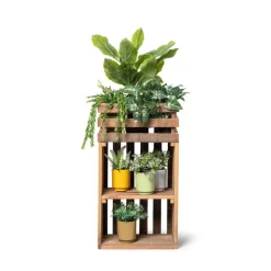 Hangplantje in potje - lang blad