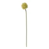 Kunstbloem allium - groen/wit - 50 cm
