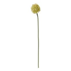 Kunstbloem allium - groen/wit - 50 cm