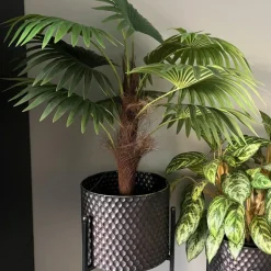 Kunstplant Chinese waaierpalm - 90 cm