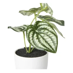 Kunstplant peperomia - 16 cm