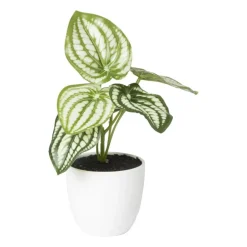 Kunstplant peperomia - 16 cm