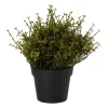 Kunstplant soleirolia in pot - groen - ø16x19 cm
