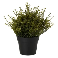 Kunstplant soleirolia in pot - groen - ø16x19 cm