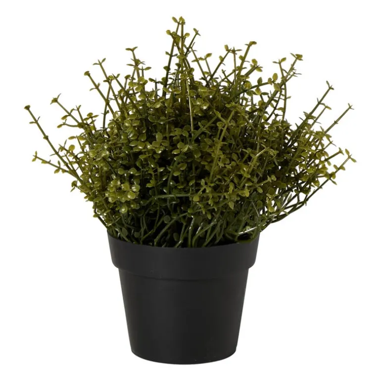 Kunstplant soleirolia in pot - groen - ø16x19 cm