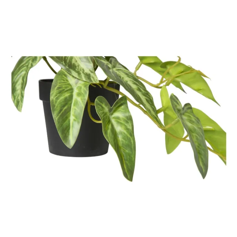 Kunstplant syngonium - 17 cm