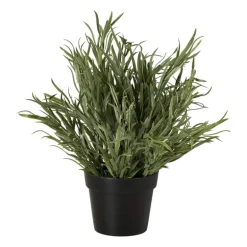 Lavendel plantje in pot - groen - ø16x24 cm
