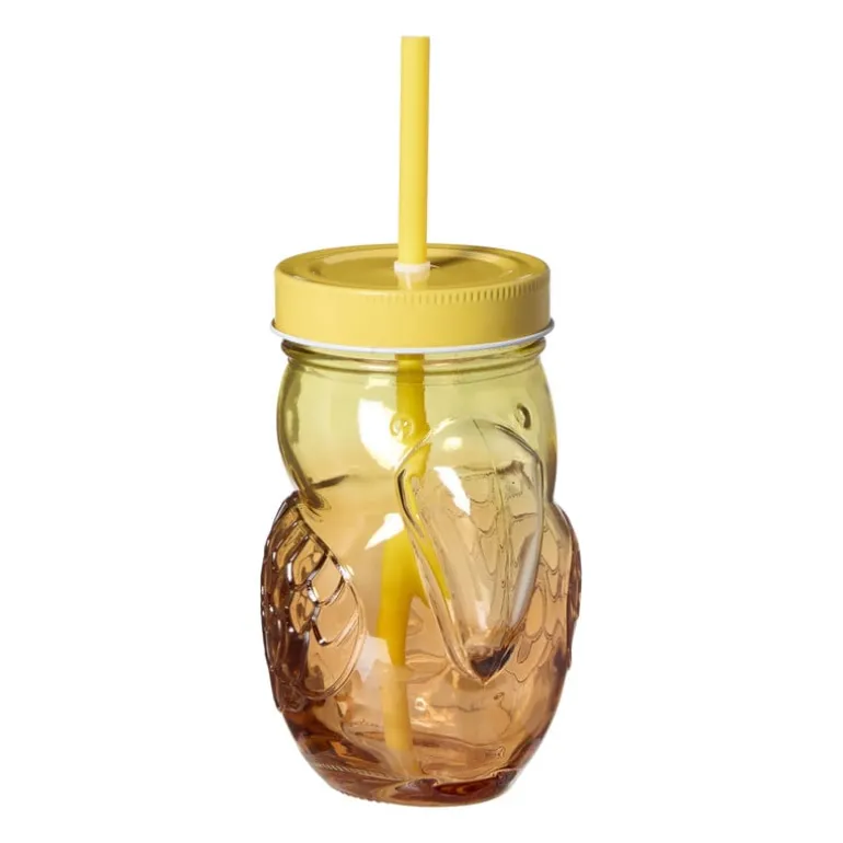 Mason jar toekan - oranje/geel - 400 ml