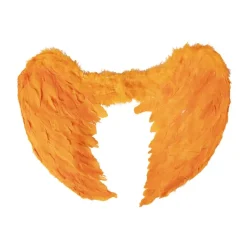 Oranje vleugels - veren - 60x40 cm