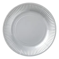 Papieren bordjes - zilverkleurig - set van 8