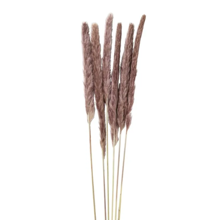 Pluim smal - 6 stuks - 70 cm