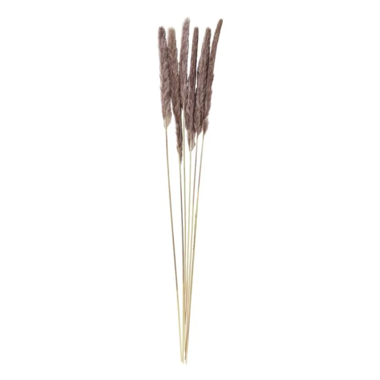 Pluim smal - 6 stuks - 70 cm