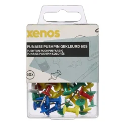 Punaises pushpin - multikleur - set van 60
