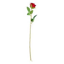 Roos rood - 56 cm