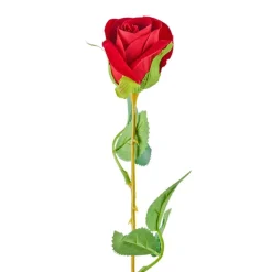 Roos rood - 56 cm