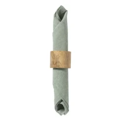 Servetten groen - set van 2 - 40x40 cm