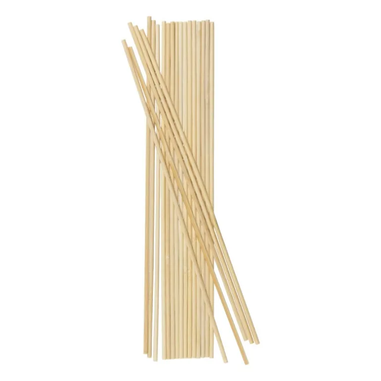 Suikerspinstokjes - set van 20 - 40 cm