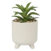 Vetplantje in pot - beige - ø8x15 cm