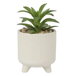 Vetplantje in pot - beige - ø8x15 cm
