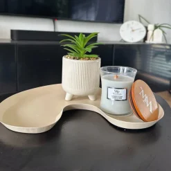 Vetplantje in pot - beige - ø8x15 cm