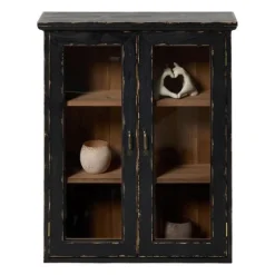 Vitrinekast 2 deuren - zwart - 60x50x15 cm